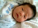 kenjirou 2008/4/21 kenjirou 2008/4/21