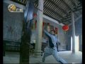 choy lee fut choy lee fut