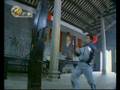 choy lee fut