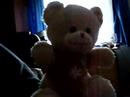 dancing teddy