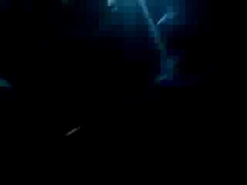 DJ Tiesto   Live at Global Gathering 2008  Stratford, UK  download