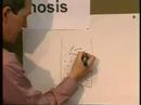 Osmosis & diffusion