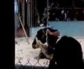 linkin-park-shadow-of-the-day-new-video-hq.html