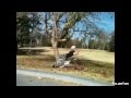 Fail Compilation 2012