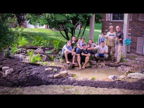 YouTube reptile video