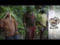 Irian Jaya: The Biak Massacre - Indonesia