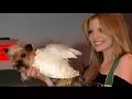 manfred-of-sweden-in-hollywood.html