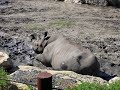 a day at the zoo