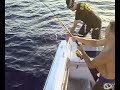 medregal al jigging de 41 kilos.maspalomas.gran canaria
