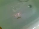 Sala-Minnow 5cm Sala-Minnow 5cm