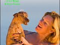 skidboot-the-amazing-dog.html