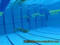 Monofin swimming