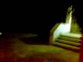 videos de mucca