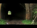 Hiding Place - Brian Shirtliff