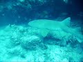 Key Largo 2007