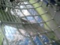 ik + bas in oudehans dierenpark xD