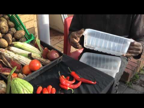how to grow scotch bonnet peppers