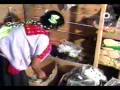 Chenalho Las Abejas 2007 parte 1 de 2