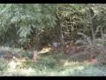 videos de Xtreme Lama V4 Outdoor - part 2
