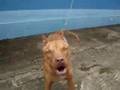 videos de Zeus