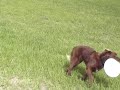 Ruby Training 8/31