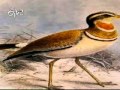 ETV special focus on Biodiversity_25-09-12_Part 2