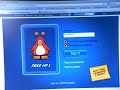 club penguin: free halloween penguin