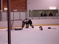 Goalie Fight
