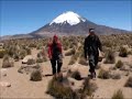 Parc de Lauca au chili amerique du sud Parc de Lauca au chili amerique du sud