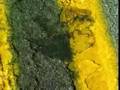 ISP: Road Kill (CBS News)