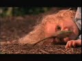 clorox-frog-commercial.html