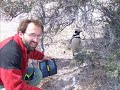 patagonia spedizione guanaco