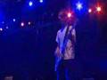 Animal Collective - Reverend Green