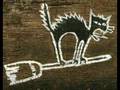 NEGRO-GATO