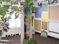 stina's AAA vertical blind fact