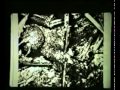 WILLIAM MILTON COOPER - DISCLOSURE PART 12 OF 28 * WARNING MUST WATCH *