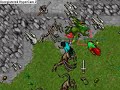 Venore dragon pwnage (level 60-61)