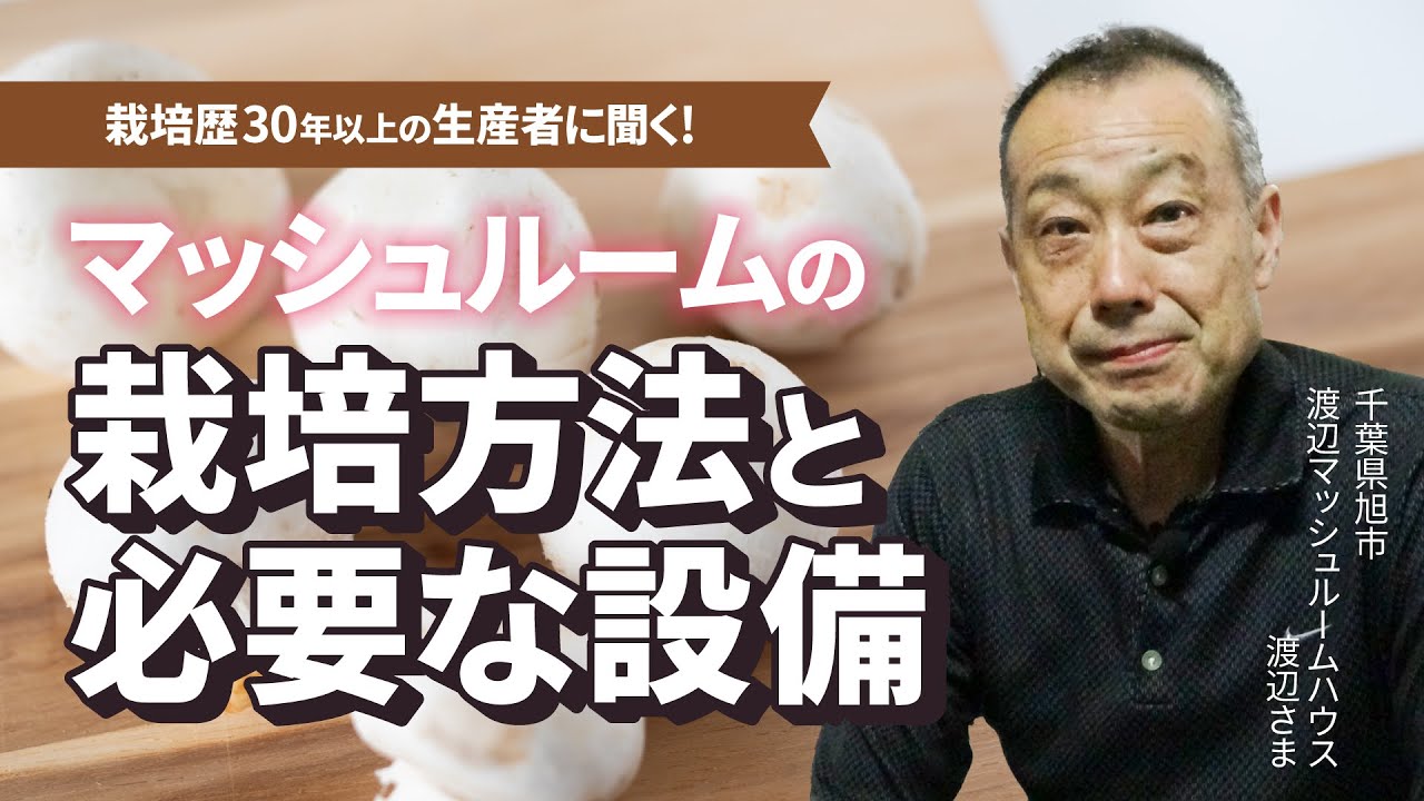 株式会社ニッポー YouTubeサムネイル