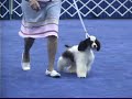 PBJ\ PBJ\