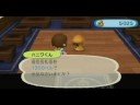 [Wii] Animal Crossing Let\