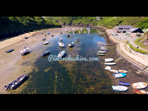 Visit Pembrokeshire - summer from the coastal path
