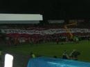 widzewska D?browa widzewska D?browa