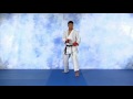 Machida hook kick.avi
