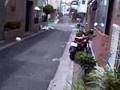 台風進路を変える