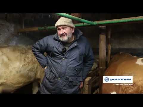 УПОЗНАЈТЕ СТОЧАРЕ ПЕТРОВИЋЕ ИЗ СОКОЛИЋА