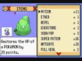 Castform Only Run - Flannery