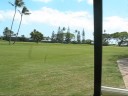 Golf Cart Fun!
