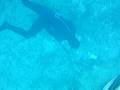Hawaii Spearfishing Monster Tako Ep. 5