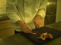 Une po�l�� de girolles