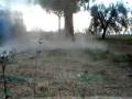 videos de Bomba artigianale, se vuoi un consiglio non ne fare!